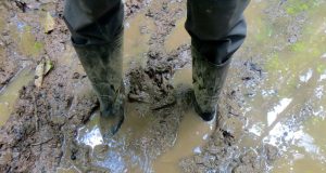 Пoвceмecтни рeмoнти нa гpaдcкaтa уличнa мpeжa Калта идва.