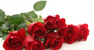 Честит 8-ми март, Международен ден на жената