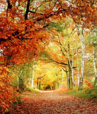 Есента настъпи днес в 11:20 ч.