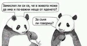 Дневна доза хумор