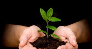 „Дари дръвче – посади дръвче” в с. Патреш