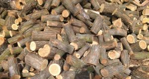 Най-много нарушения в областта са констатирали от РДГ-Велико Търново в общините Павликени и Сухиндол