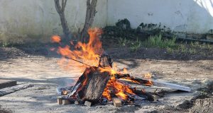 Сиреници в с. Патреш