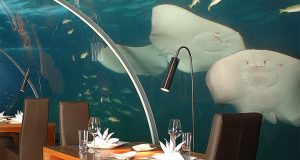 Малдивите – място за ценители