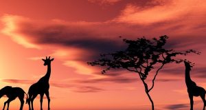 Национален парк "Серенгети"