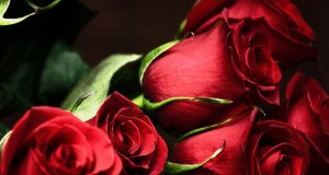 Осми март – Международен ден на жената