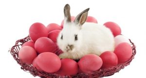 Великденският заек – произход и легенди