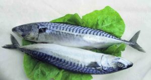 Радиоактивни скумрия и сьомга в магазините