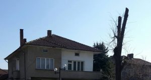 Golf "дърпа" прасе в Павликени