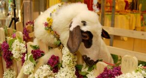 † Светъл и честит Гергьовден!