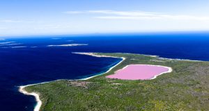 Розовото езеро Hillier