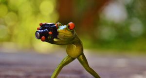 Всичко се фотографира