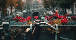 Непознатото градче