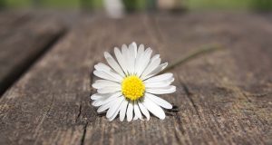 Почина поетът Евтим Евтимов