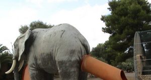 Дневна доза хумор