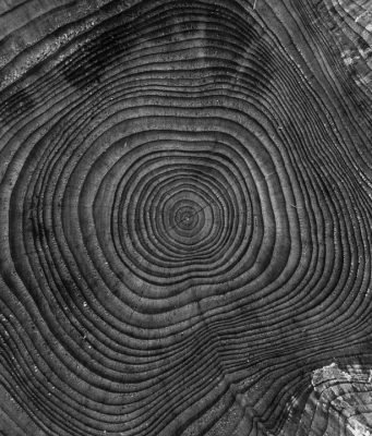 В живота ни е тясно…