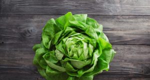 Дневна доза хумор