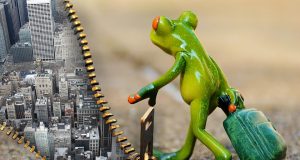 Каталог на преместванията