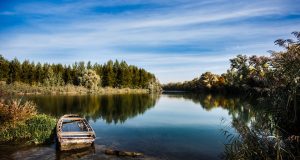 Удавниците