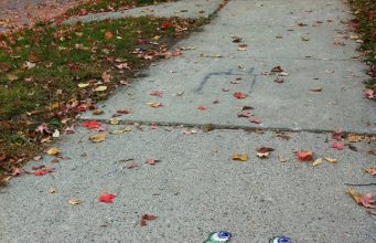 Дневна доза хумор