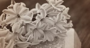 Вярвайте, когато другите се съмняват