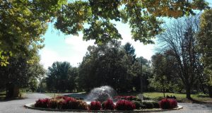 Есен в парка