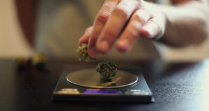 Канабис и електронна везна откриха в дома на младеж във Велико Търново