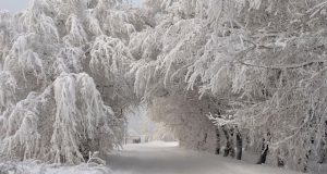 35 машини извършват почистване и опесъчаване на територията на областта, снежната покривка е около 5 cm