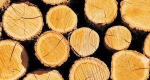 27-годишен криминално проявен и осъждан мъж бе задържан за незаконно добита дървесина