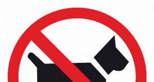 Жители на квартал в Търново събират подписка срещу домашните кучета