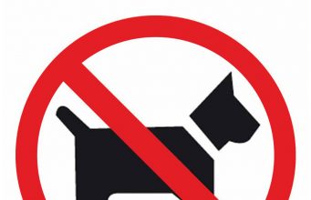 Жители на квартал в Търново събират подписка срещу домашните кучета
