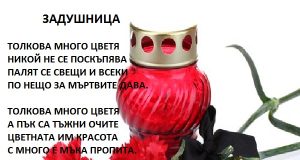 Толкова много цветя