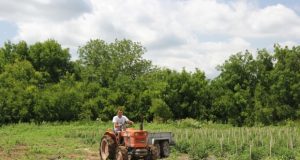 НССЗ обучава фермери по 6.3 и 6.1 във Велико Търново