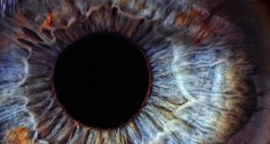 Пациентска организация благодари на кмета на Велико Търново