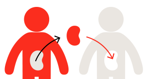 Координатори по донорство от областта получиха сертификати от Института по донорство и трансплантации в Барселона