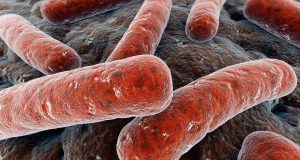 Четири нови случая на туберкулоза откриха при профилактика във Велико Търново