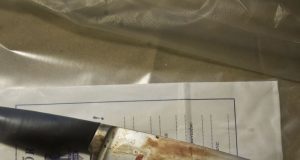 Холандецът, намушкал жена, живее във Велико Търново