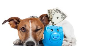 Възможно увеличение на таксите за детските градини и яслите в общината догодина