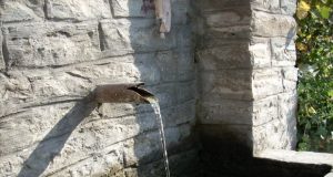 Търсят причините за влошеното качество на минералната вода в курорта Вонеща вода