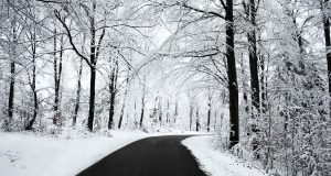 Областният управител на Велико Търново призовава за повече толерантност на пътя