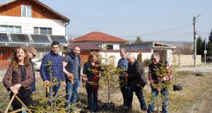 11 смърча засадиха в с. Шемшево кандидати за народни представители от ГЕРБ