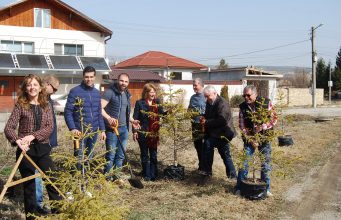 11 смърча засадиха в с. Шемшево кандидати за народни представители от ГЕРБ