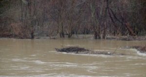 Екоинспекцията проверява почистени ли са речните корита в областите Велико Търново и Габрово