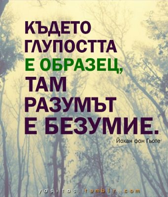 Kъдето глупостта е образец…
