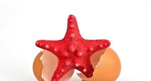 Изложба на испанския фотограф Роман Монтесинос се открива на 17 май във Велико Търново