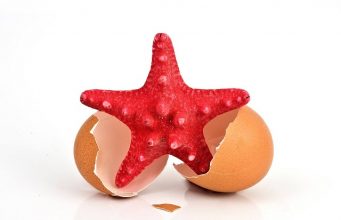 Изложба на испанския фотограф Роман Монтесинос се открива на 17 май във Велико Търново